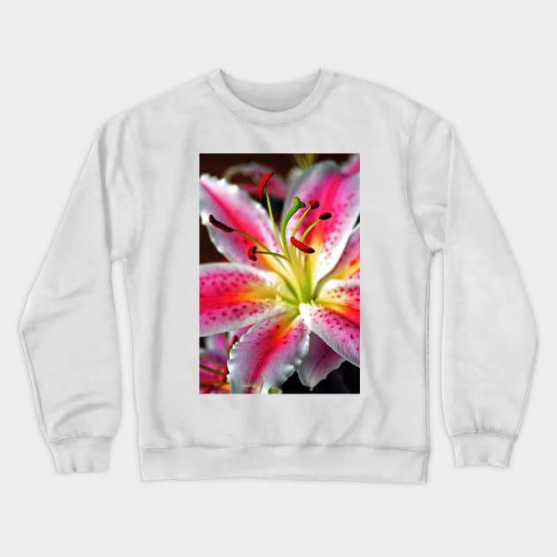 Pink Lily Lilium Herbaceous Flowering Plants Crewneck Sweatshirt by AndyEvansPhotos